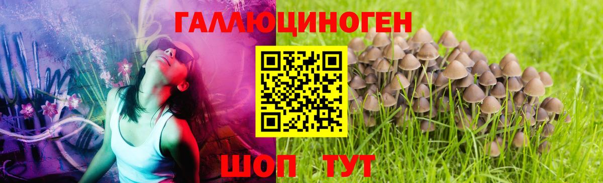 Златоуст  Псилоцибиновые грибы прущие грибы  Вход с VPN 